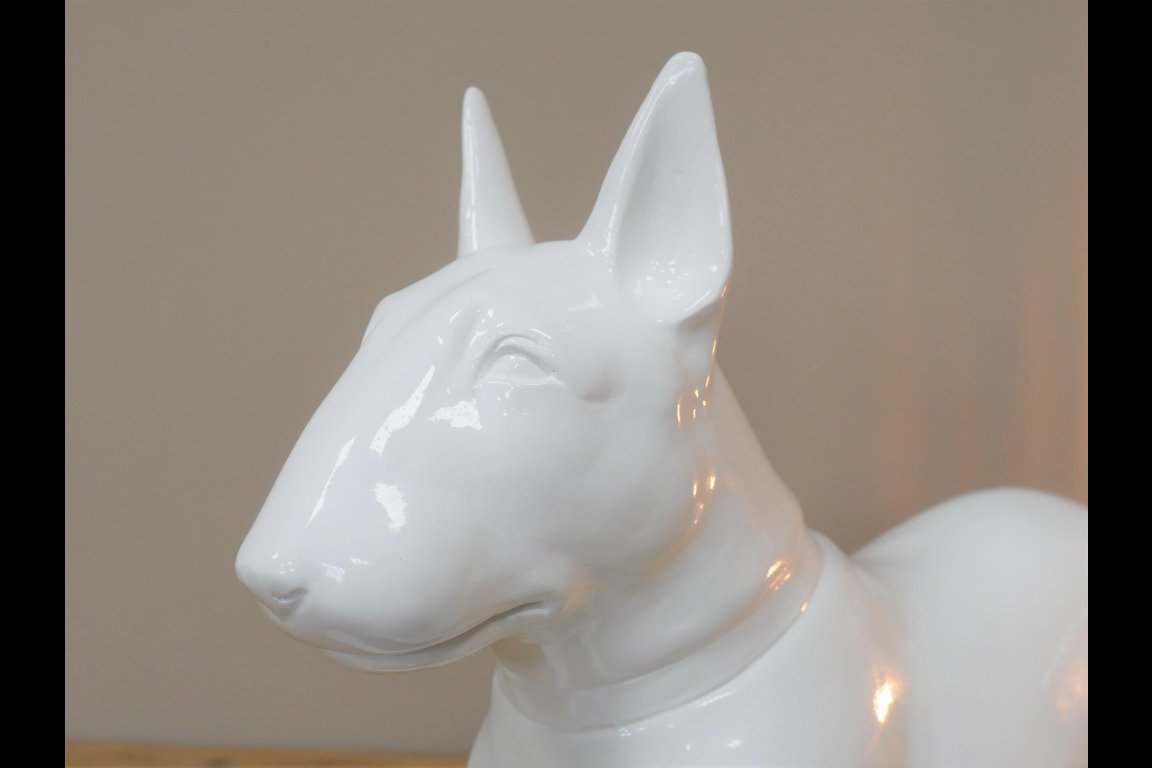 White Dog