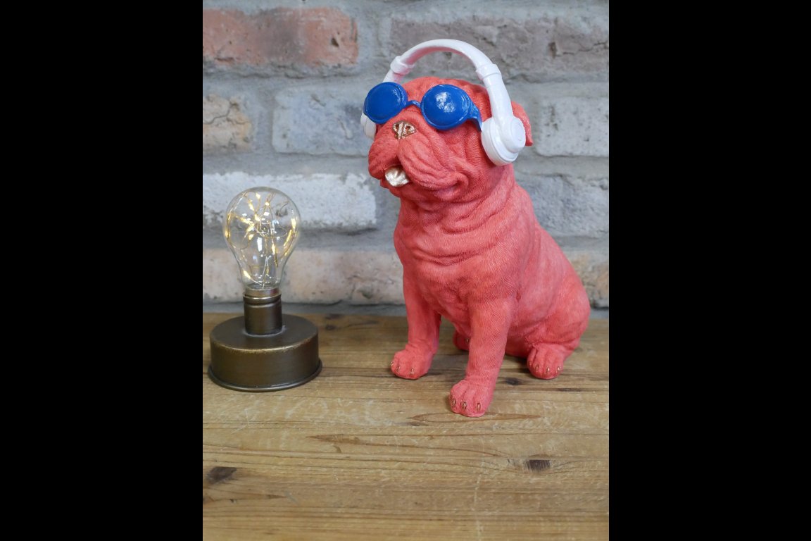 Dog With Headphones