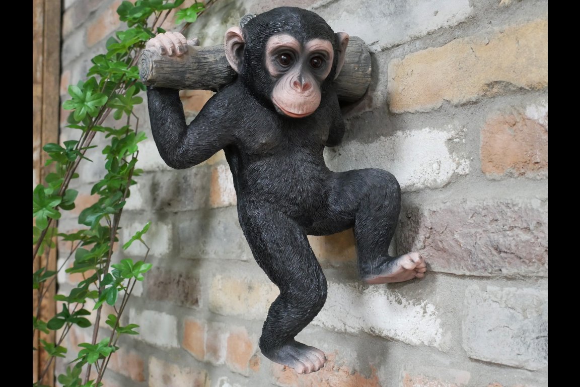 Monkey Hanging On A Branch