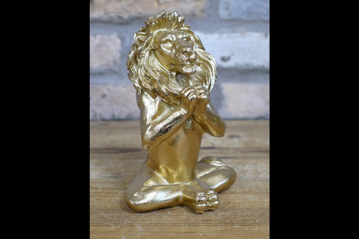 Set Of 3 Yoga Lions