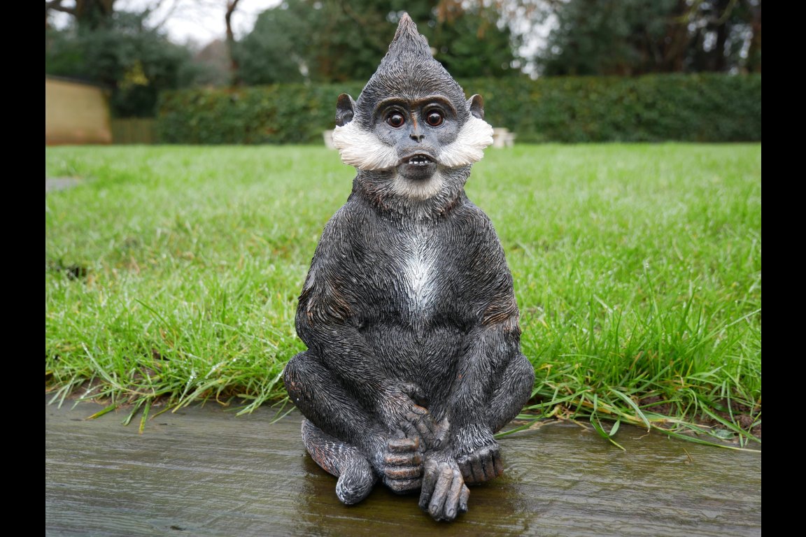 Bearded Monkey
