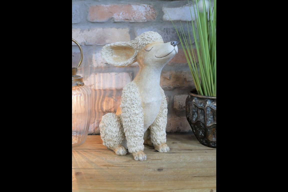 Poodle