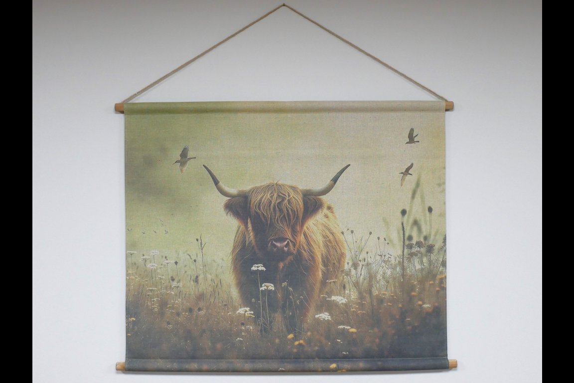 Canvas Wall Art - Cow In Field