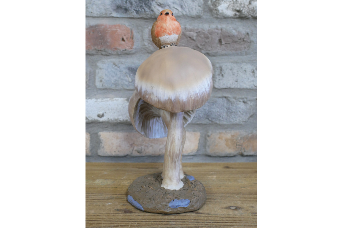 Robin On Top Of Mushrooms