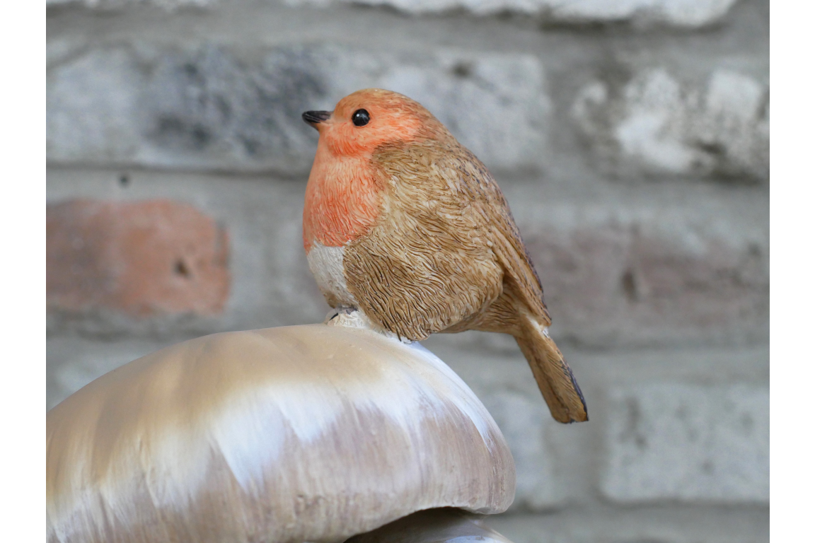 Robin On Top Of Mushrooms