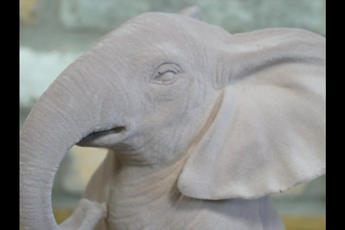 Elephant