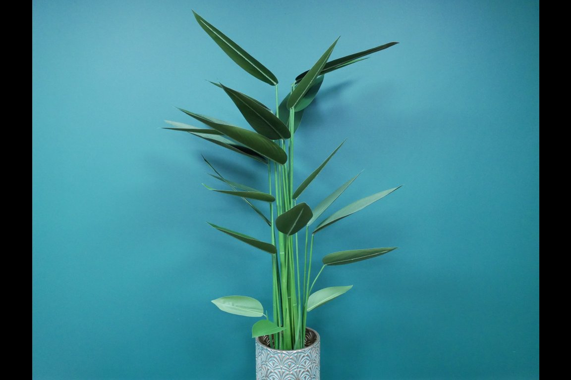 Artificial Canna