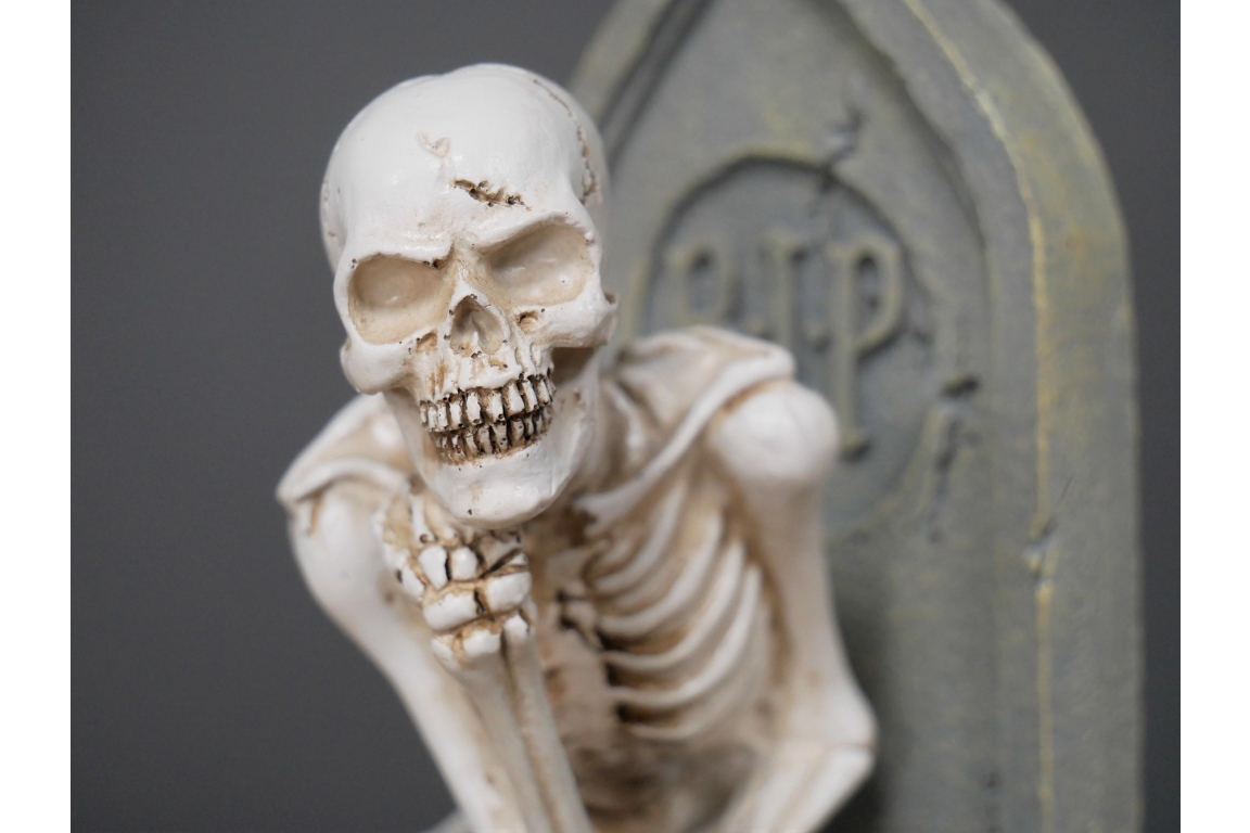 Skeleton On The Loo