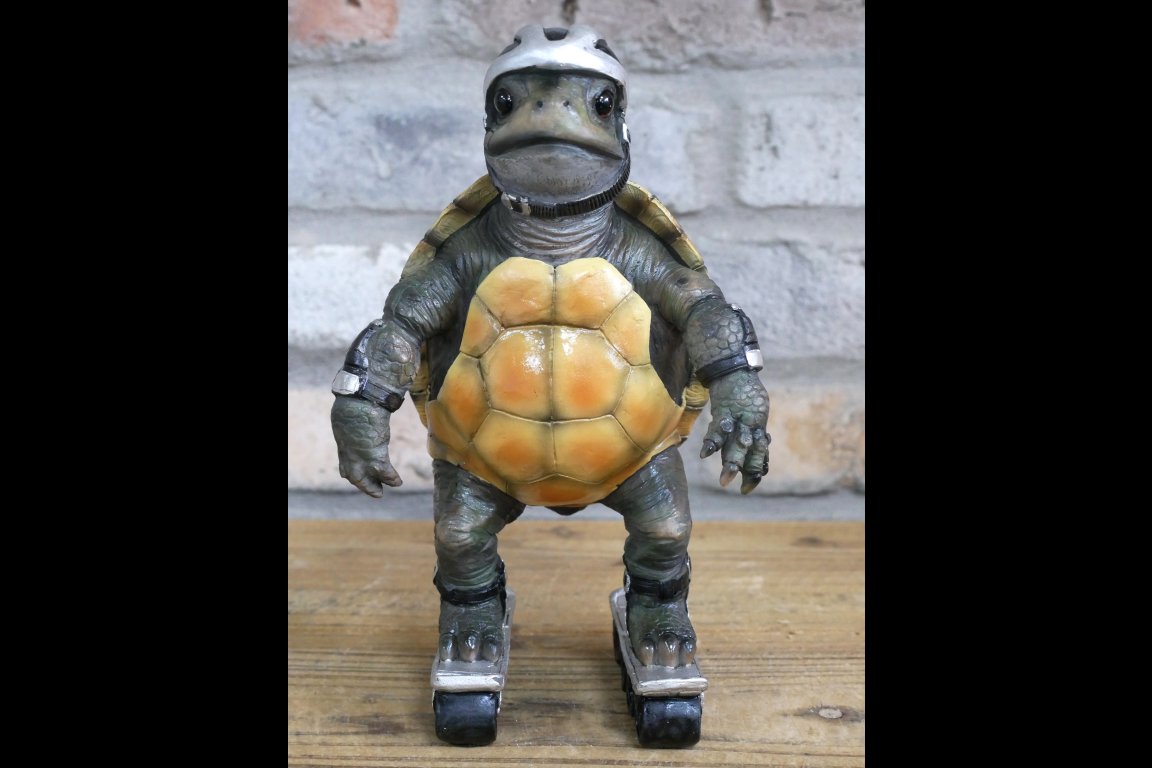 Speedy Tortoise