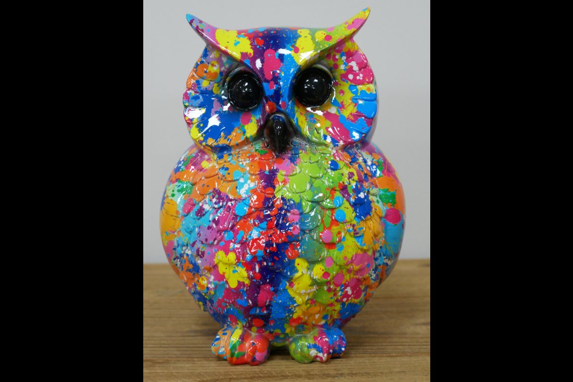 Colourful Owl
