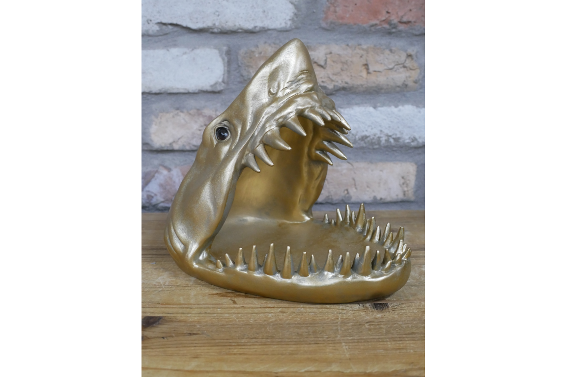 Shark Dish