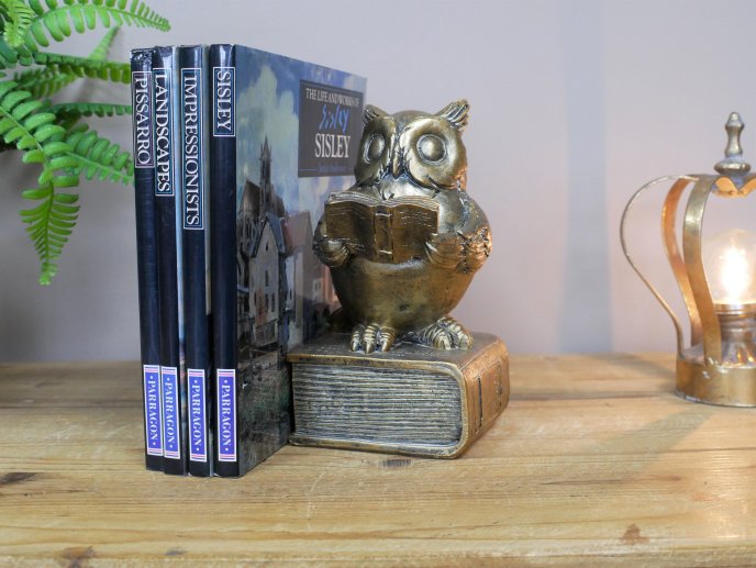 Reading Owl