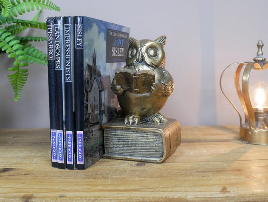 Reading Owl