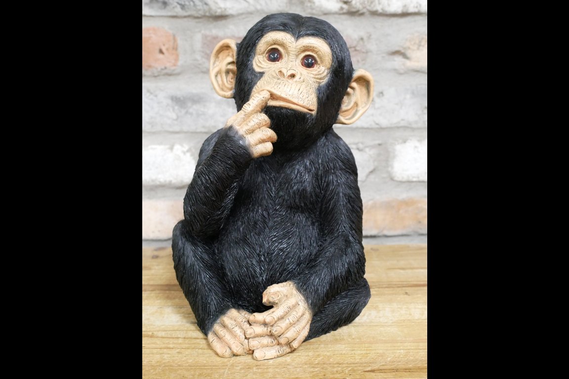 Finger In Mouth Monkey