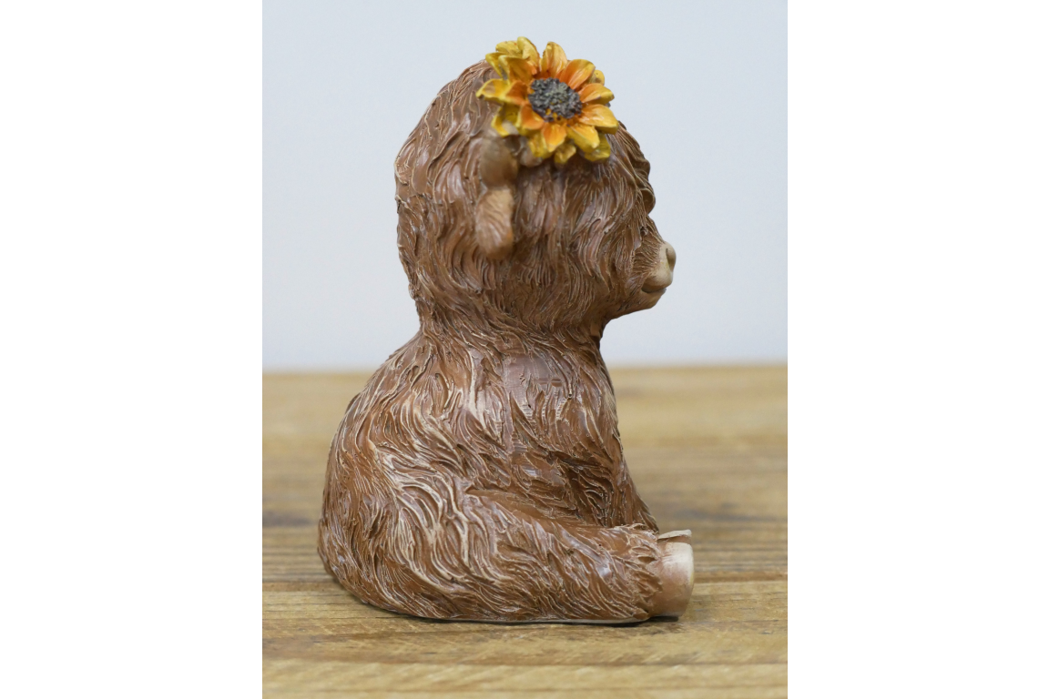Sitting Highland Cow