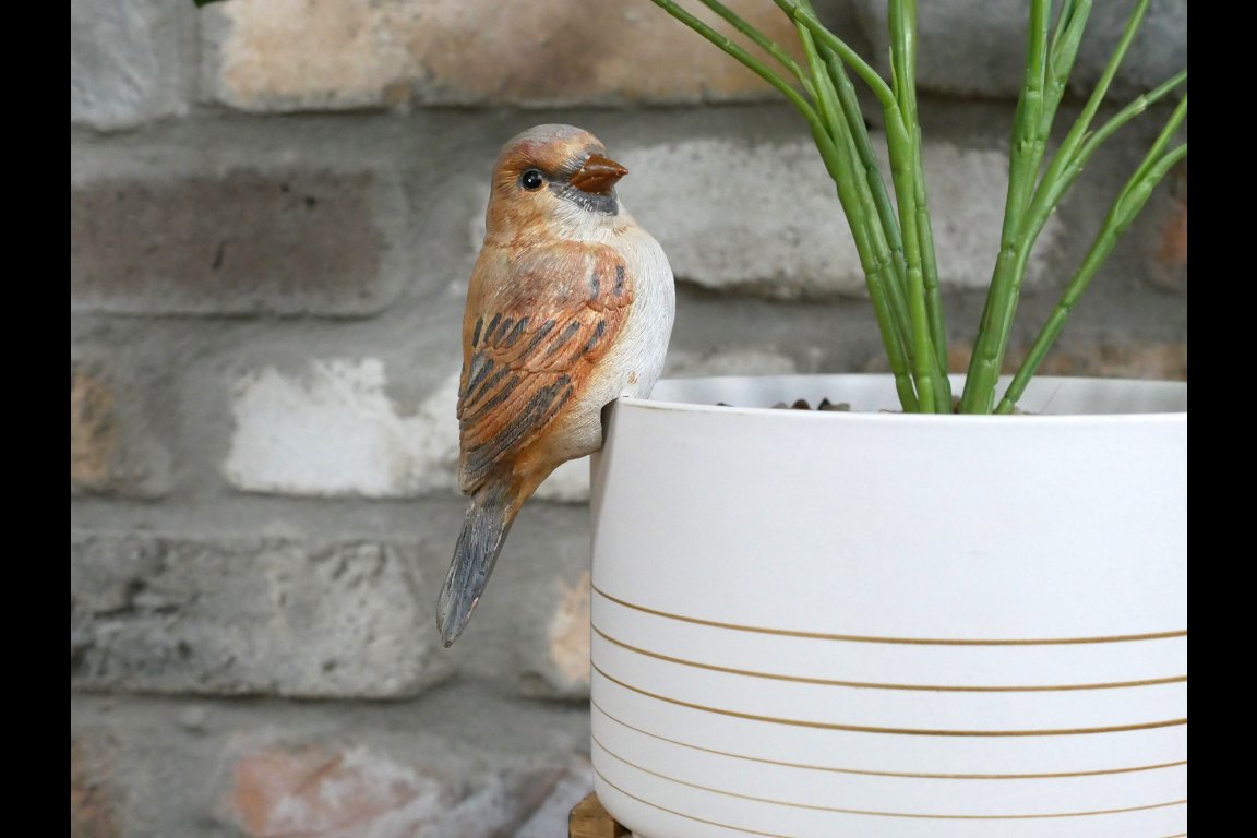Bird Pot Hanger