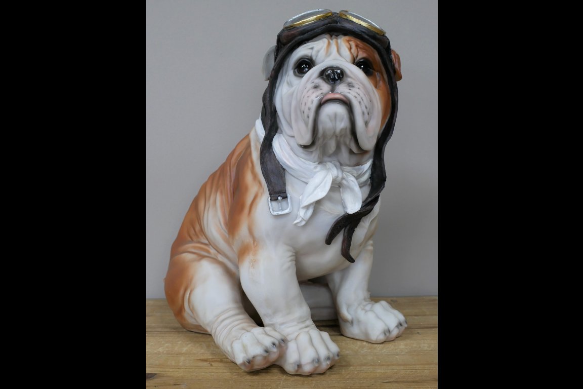 Large Pilot Dog