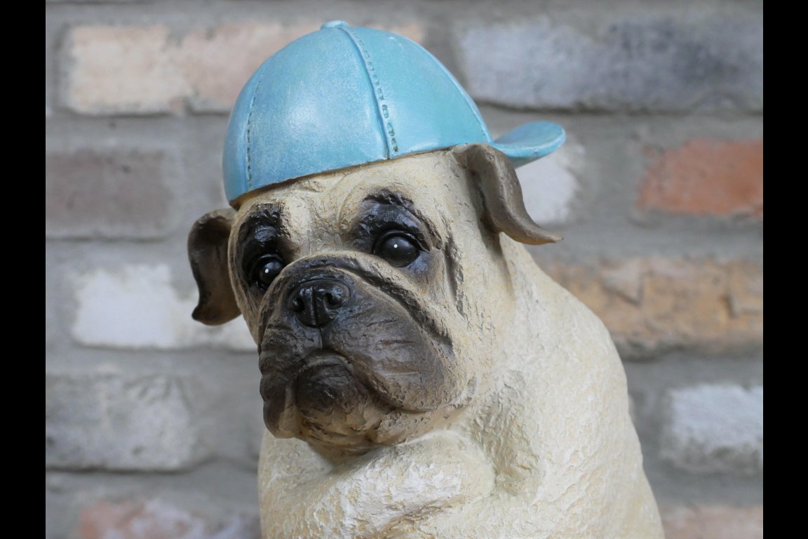 Arms Crossed Bulldog