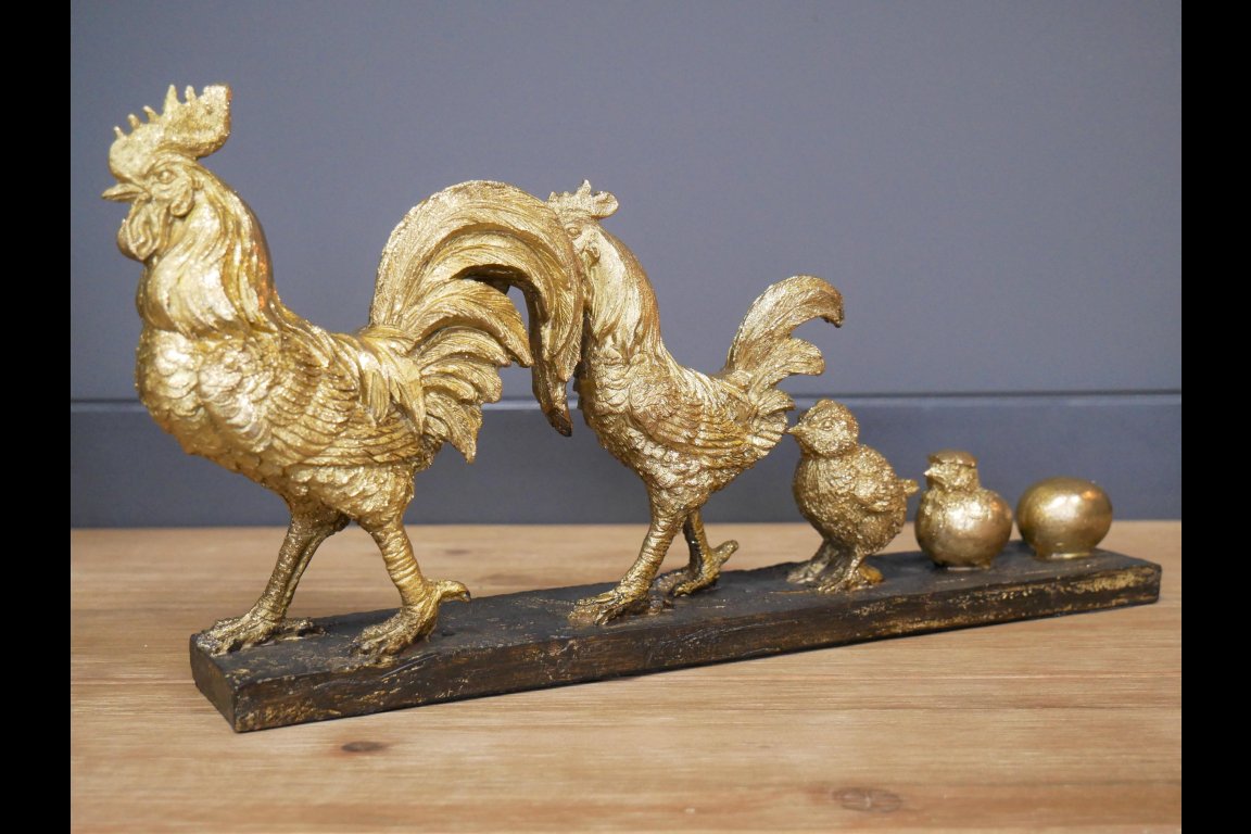 Chicken Evolution