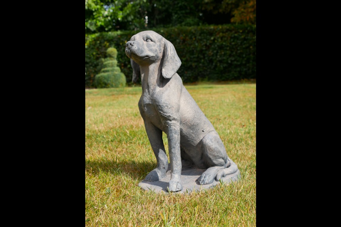 Sitting Dog