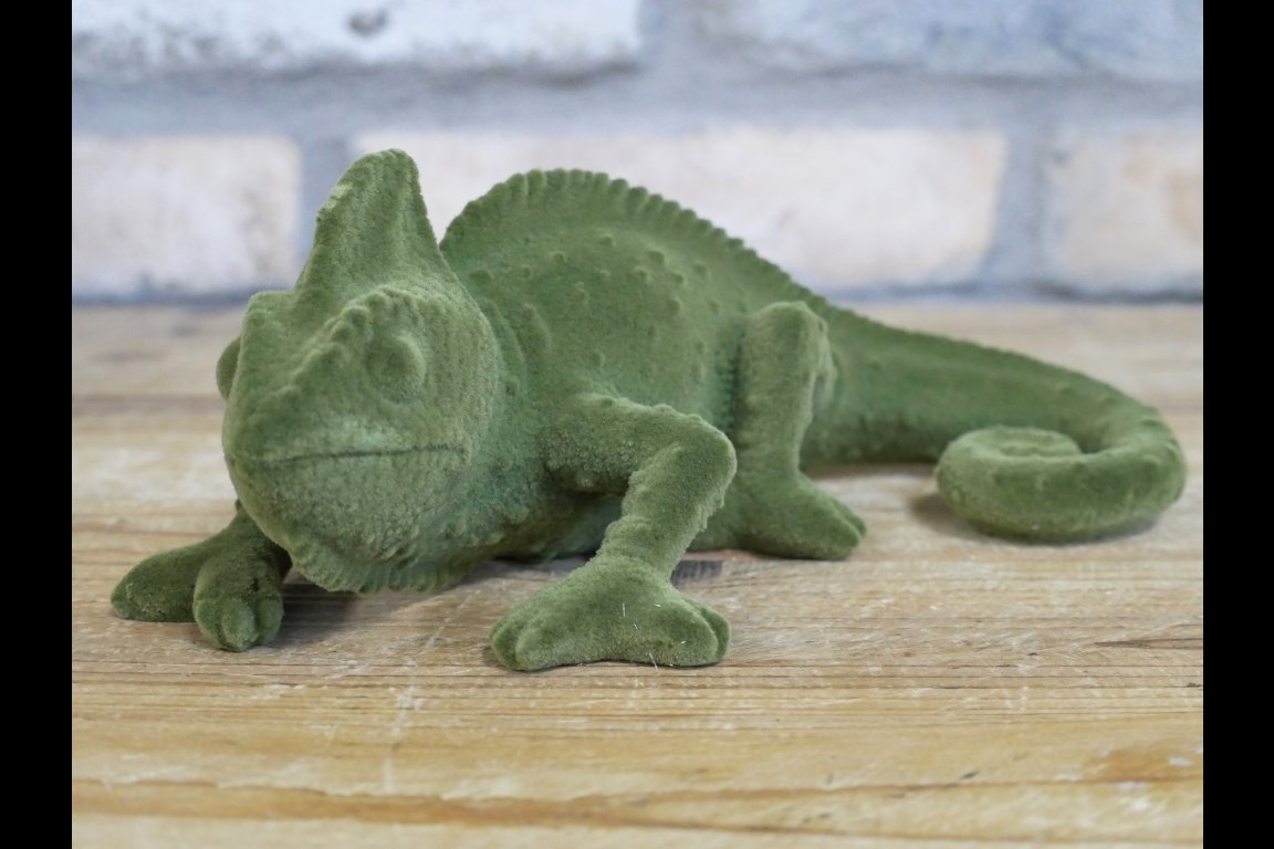 Geko