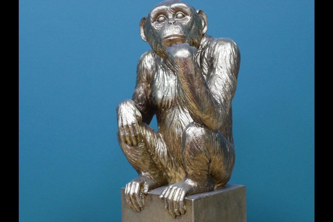 Thinking Monkey