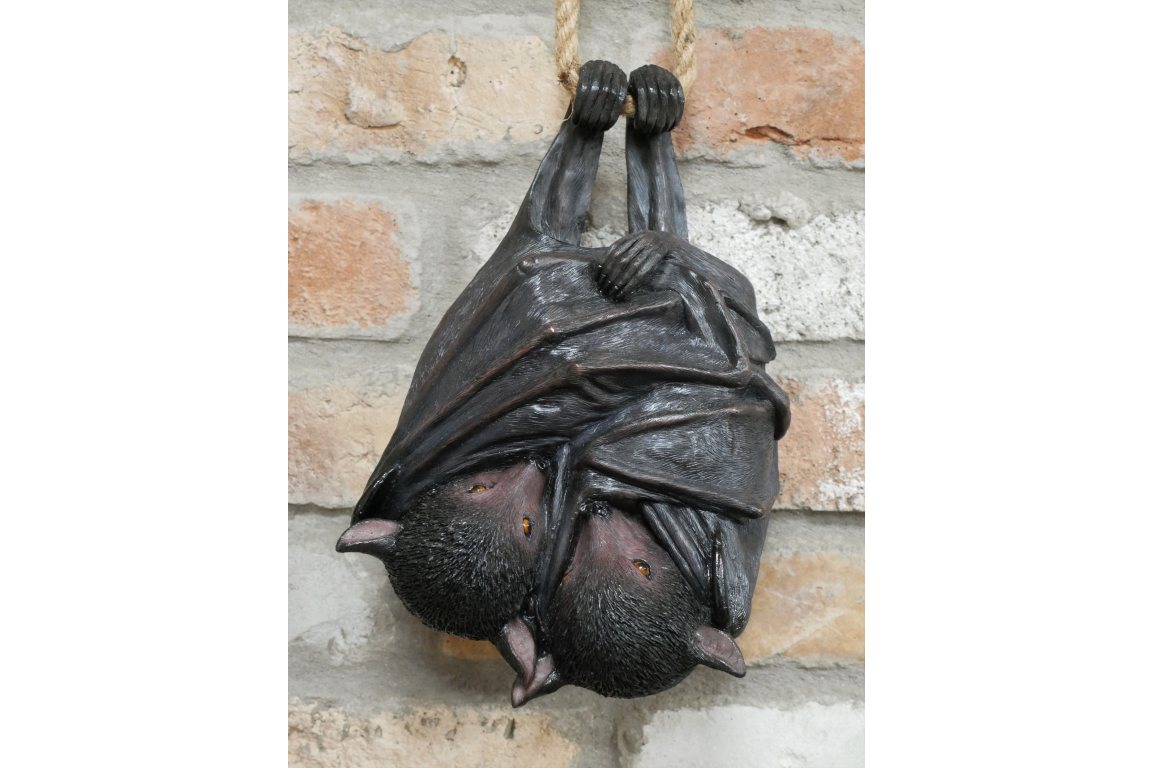 Hanging Bats