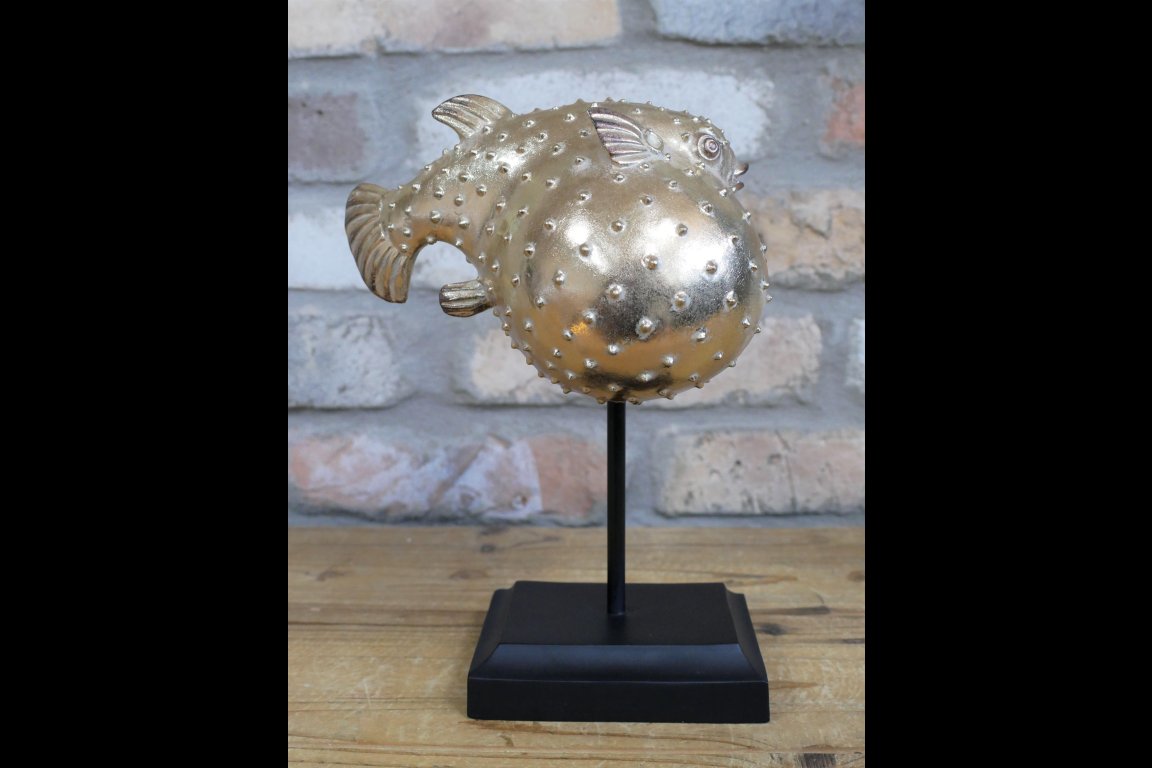 Puffer Fish