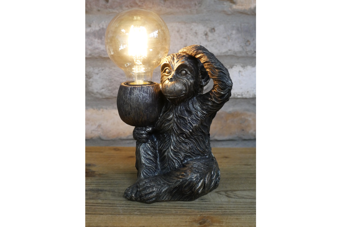 Monkey Light