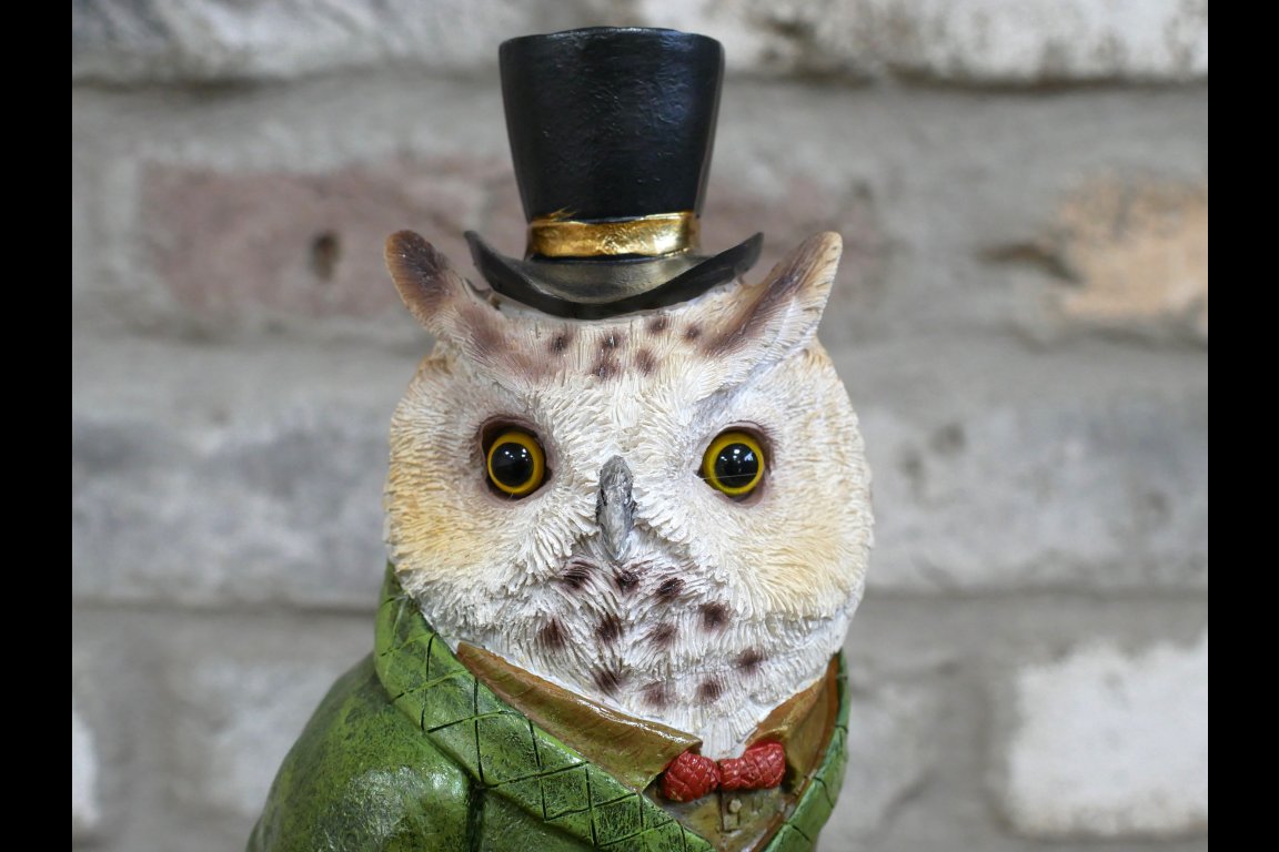 Owl In Suit