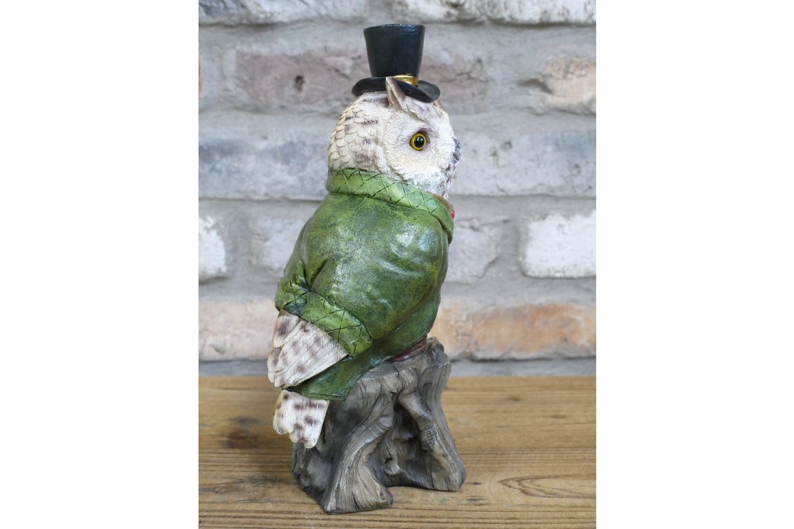 Owl In Suit