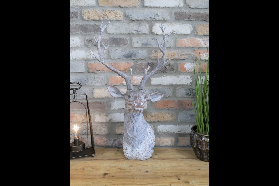 Stag Head