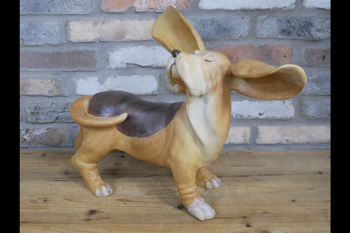 Big Ears Dog