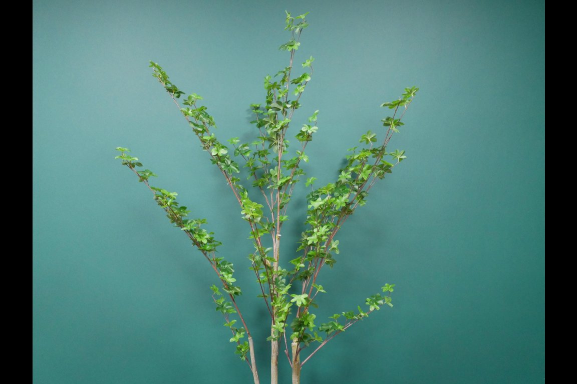 Artificial Flipper Tree