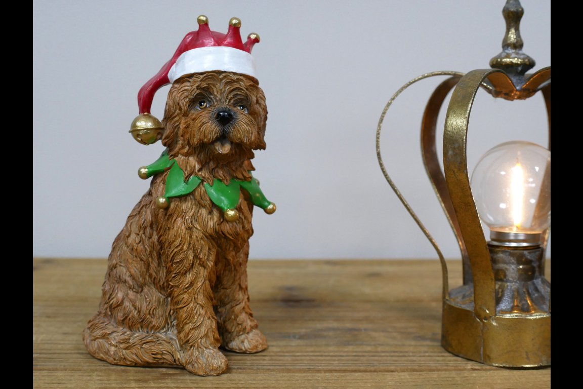 Dog With Christmas Hat