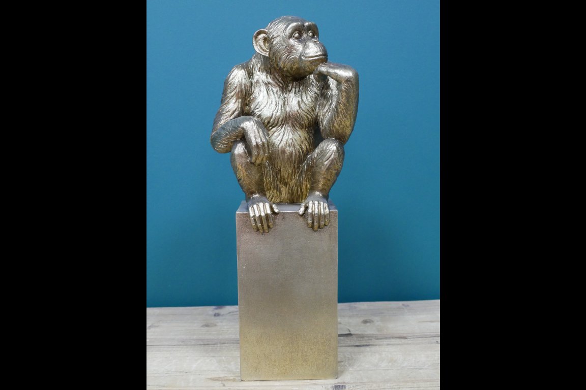 Thinking Monkey