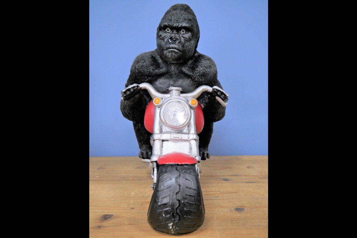 Gorilla On Motorbike With Light