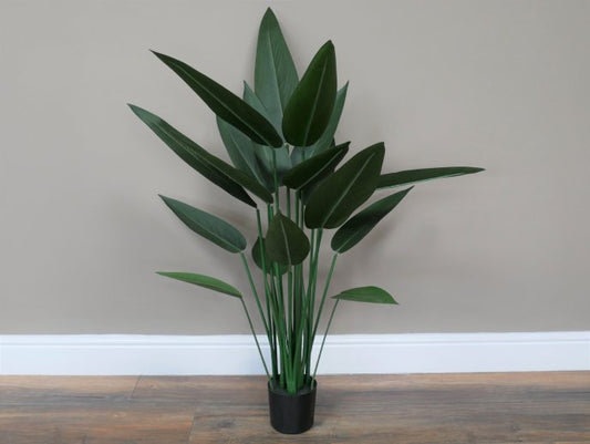 Artificial Canna