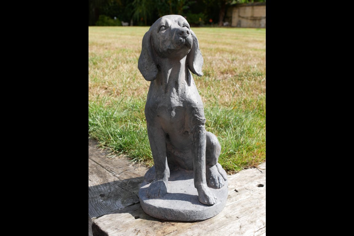 Sitting Dog