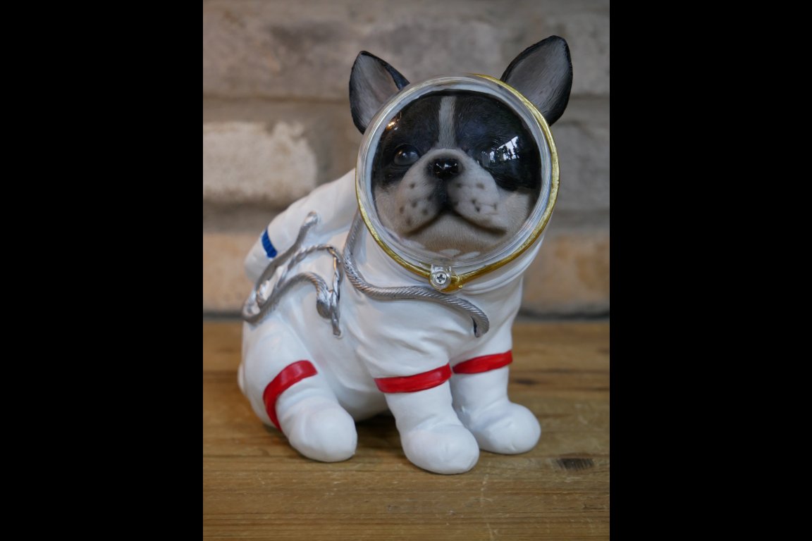 Space Dog
