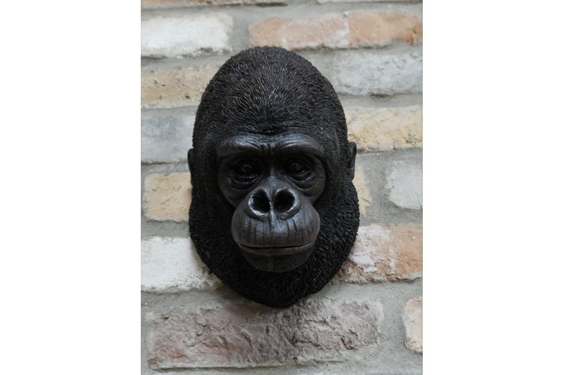 Gorilla Head