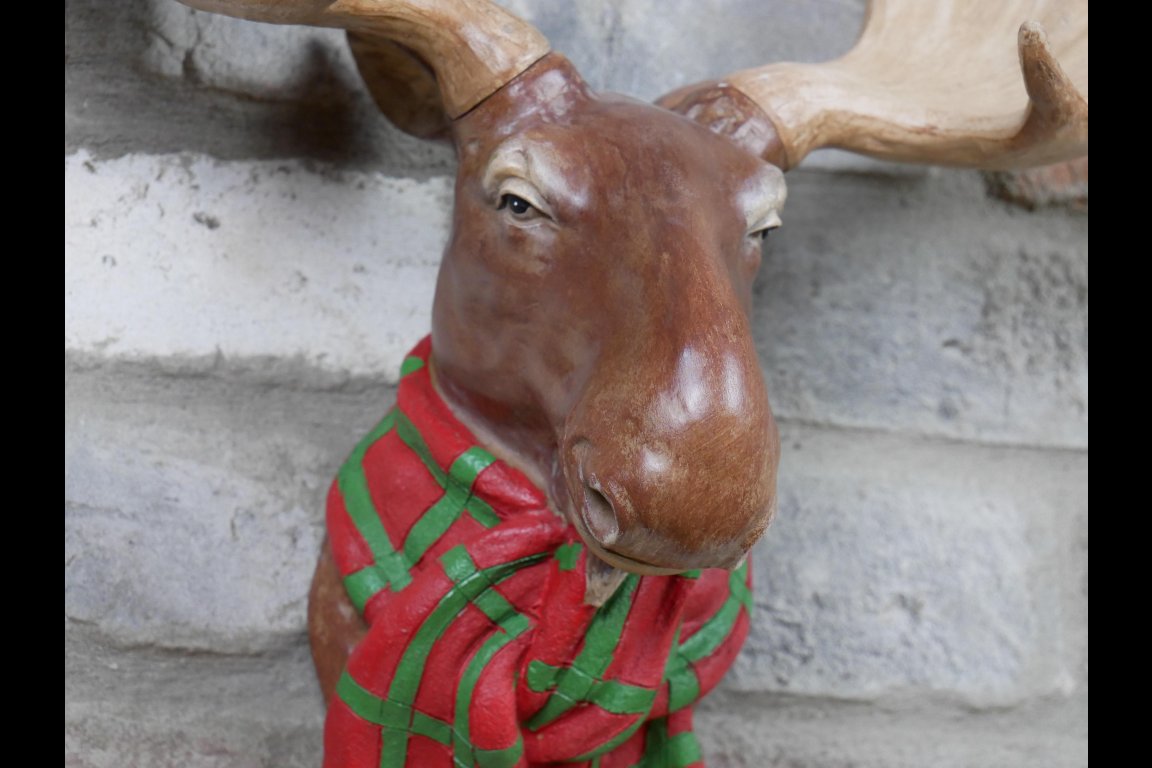 Moose Head Wall Decoration