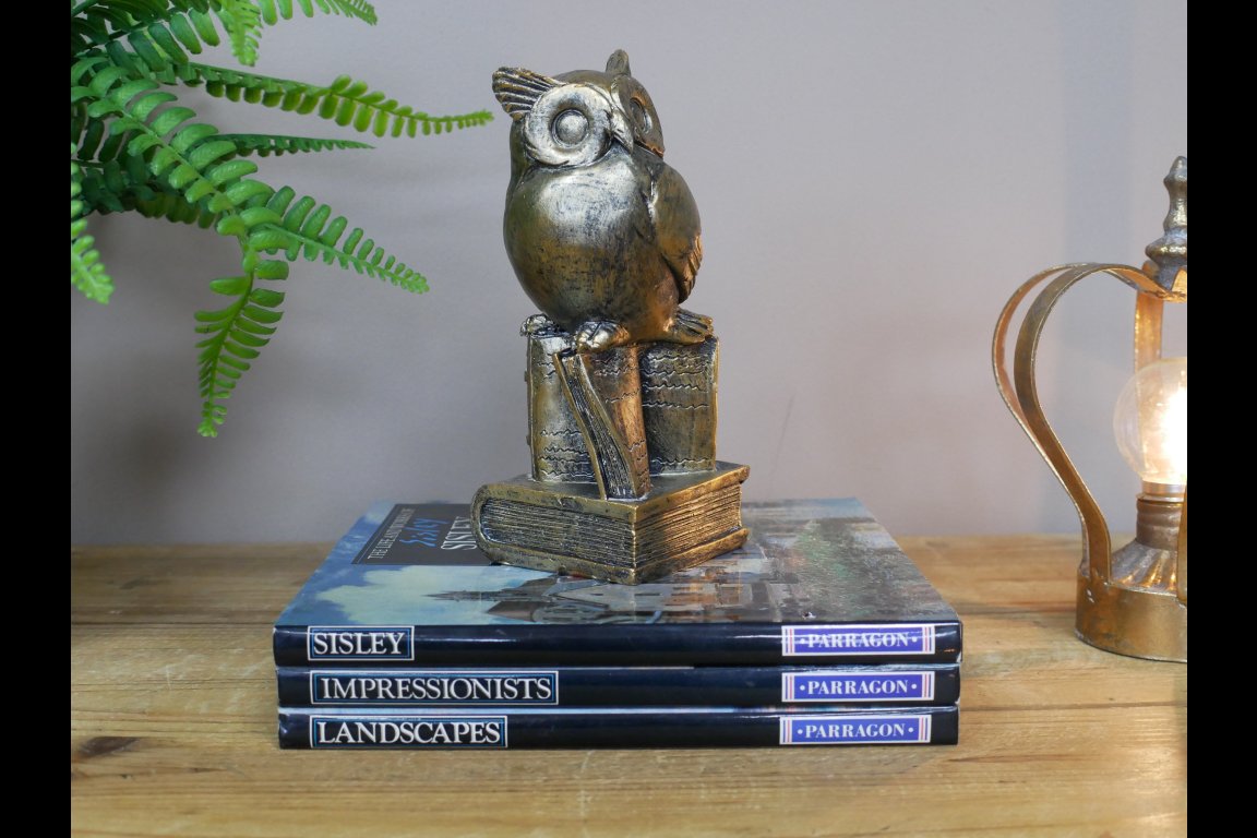 Owl Stood On Books