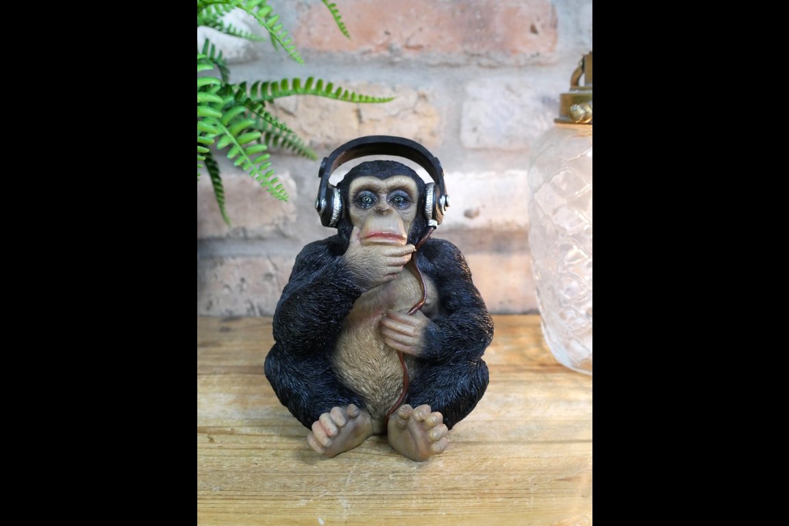 Monkey With Headphones