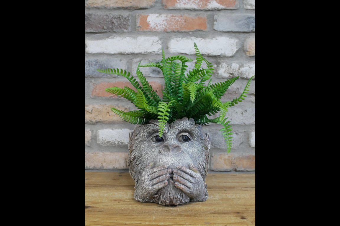 Monkey Head Planter