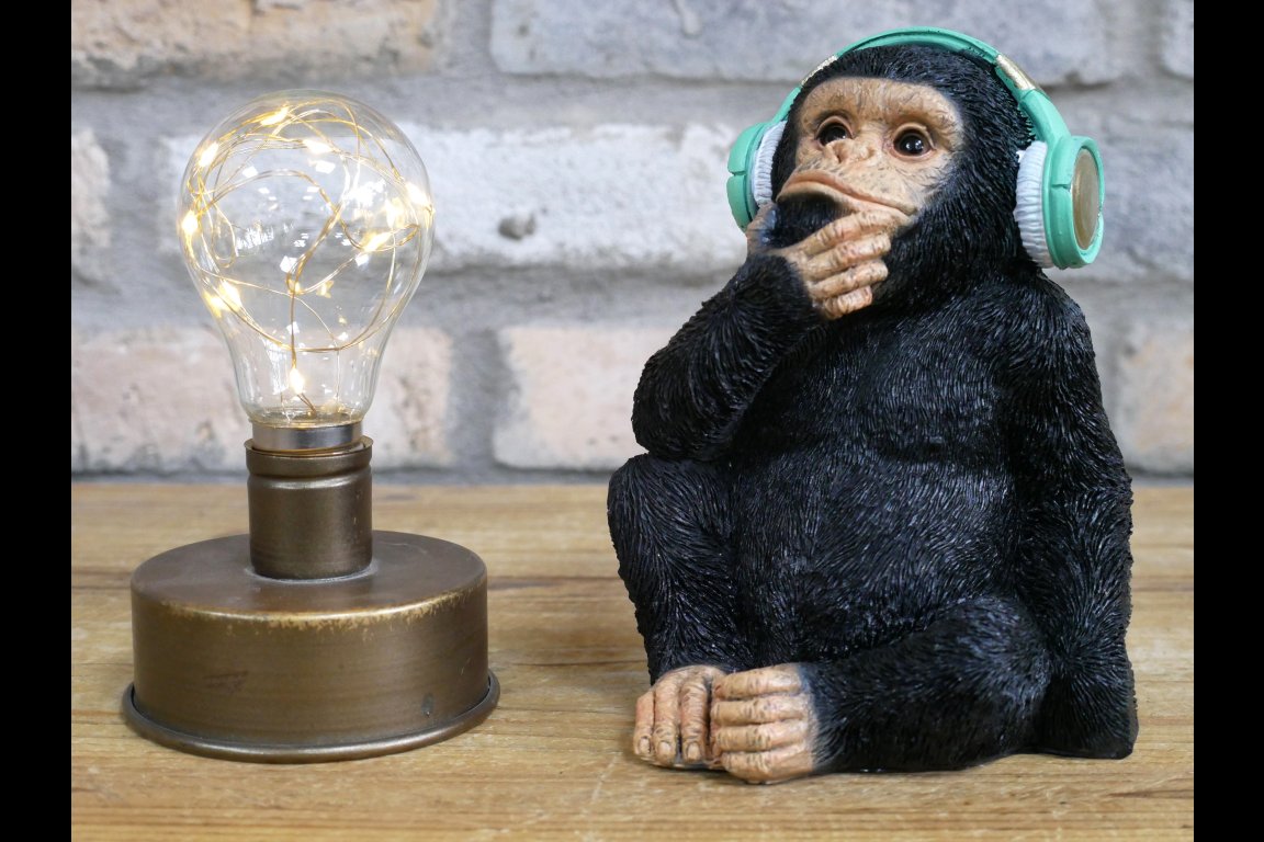 Monkey With Headphones