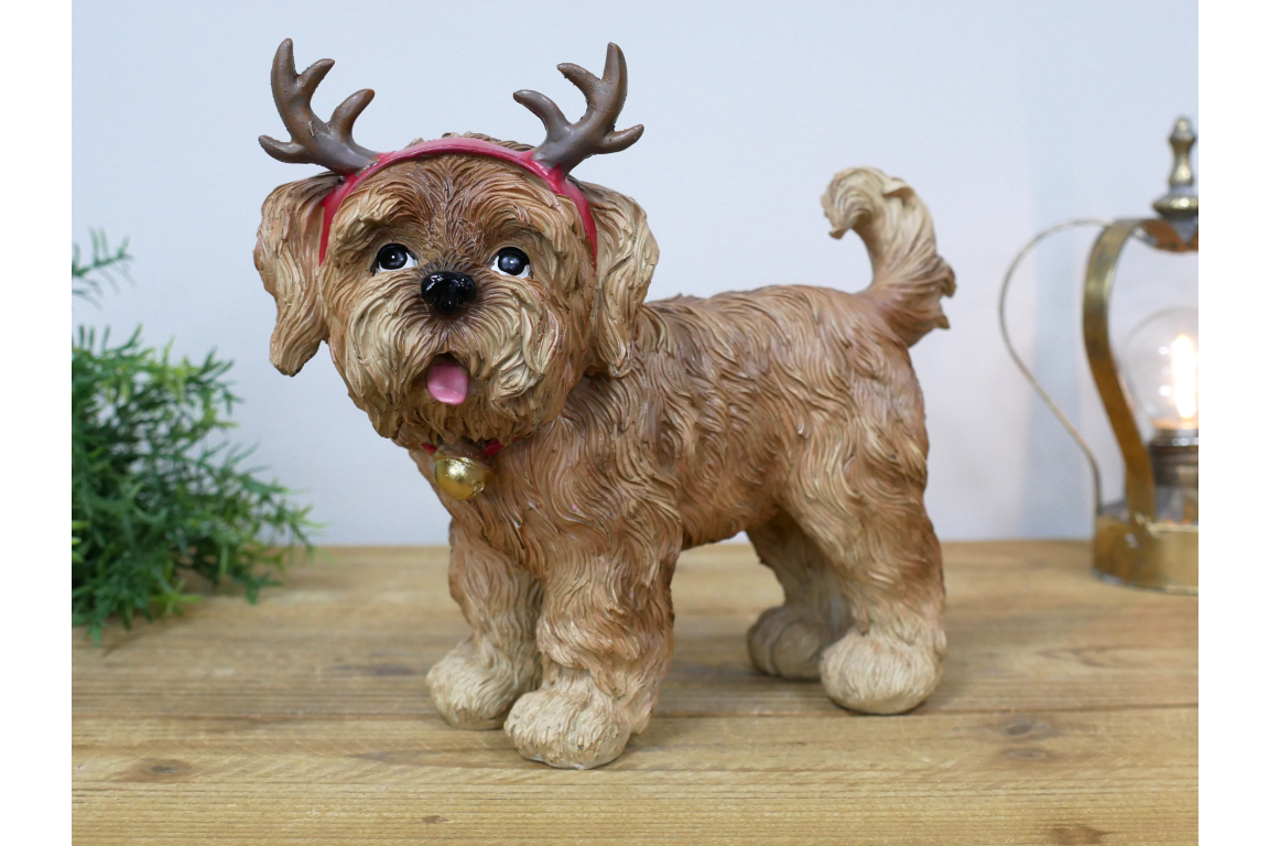 Dog With Antler Ears