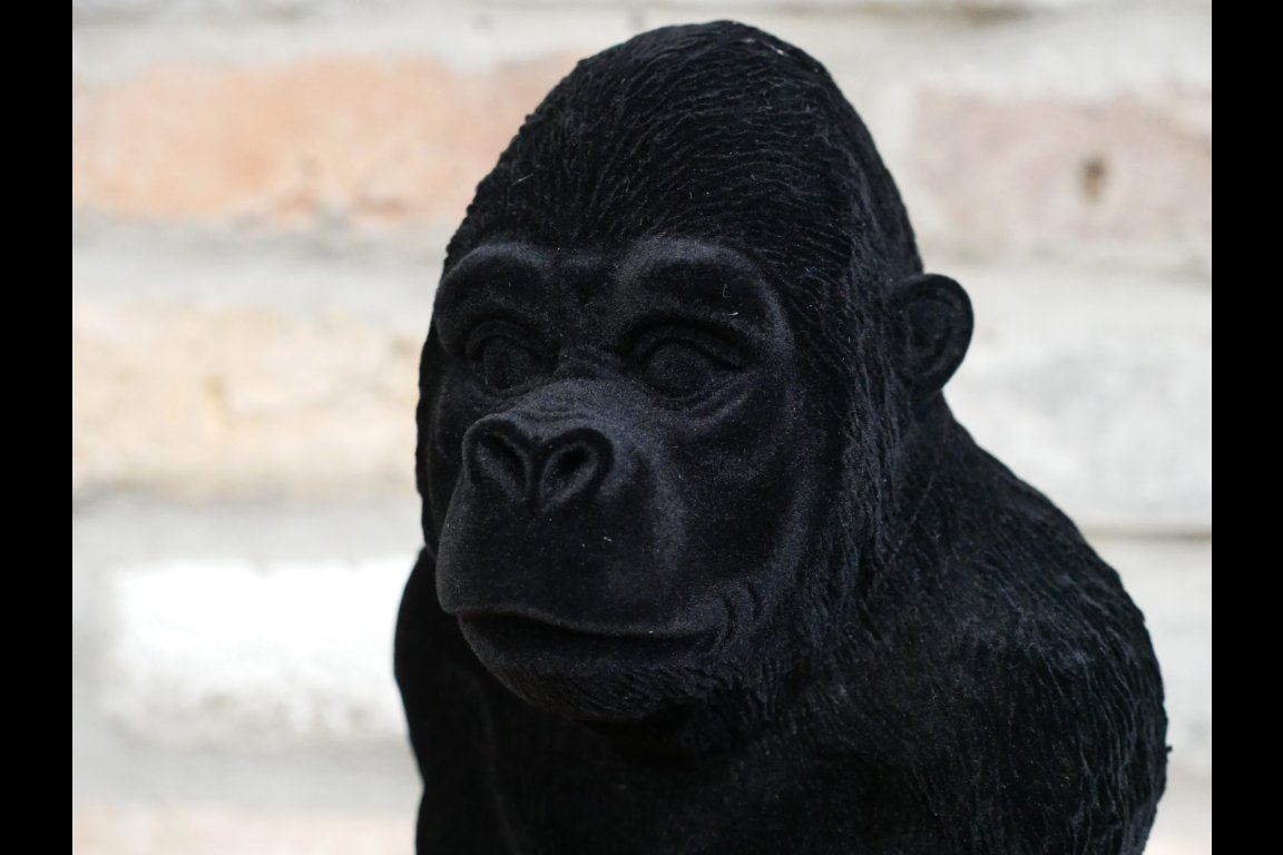 Gorilla