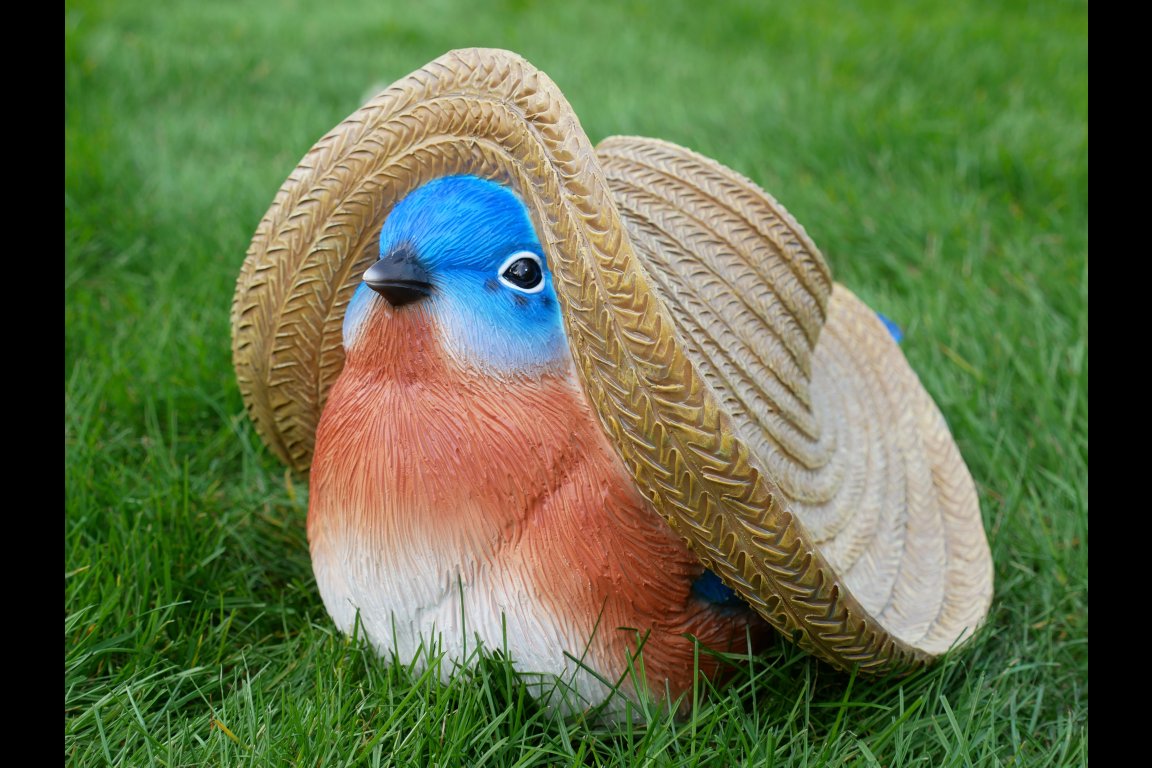 Mexican Blue Tit