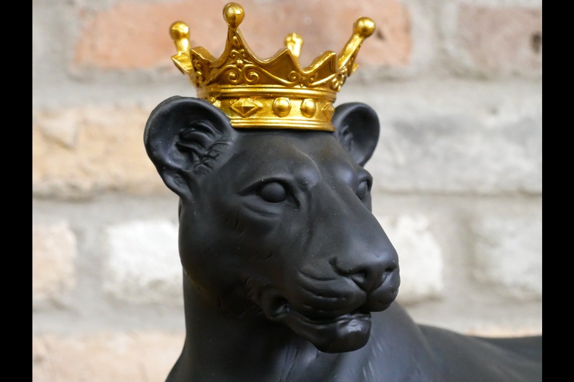 Laying Lion